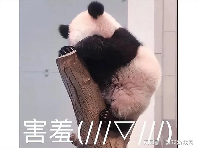 中國人都是白毛控？鶴髮童顏小蘿莉誰不愛，沒想到韓國人玩最大！