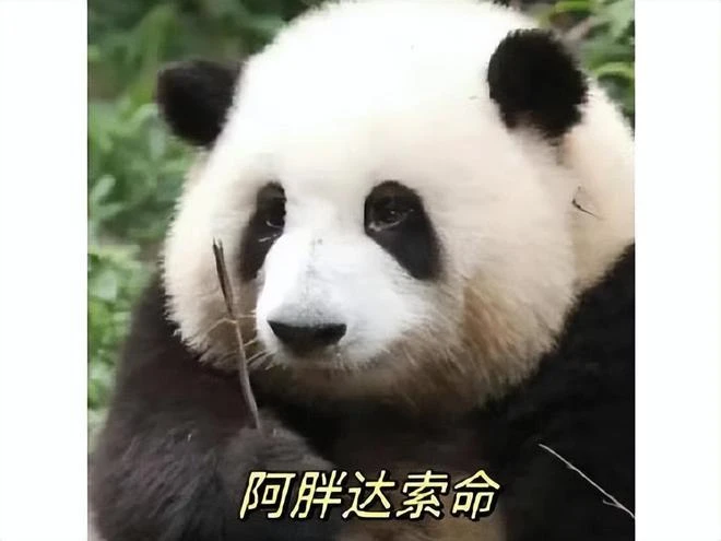 4個月就搞砸一個世界級的IP，韓國玩家：這是在割韭菜嗎？