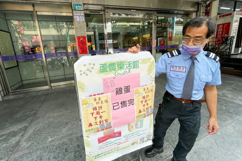 進口550萬顆雞蛋仍售罄　台灣欲增5倍進口量