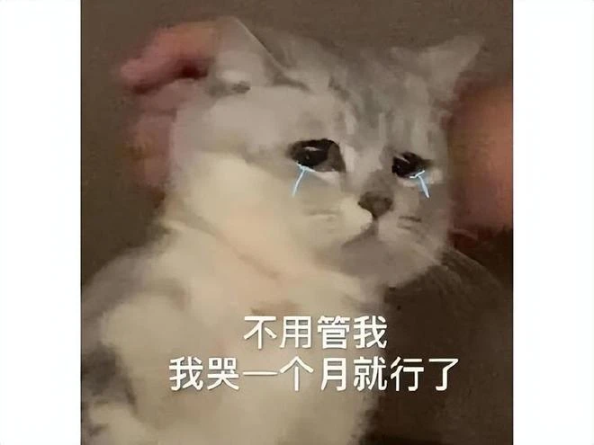 日本人花13億做遊戲,玩家連新手教程都熬不過去,33天後涼了