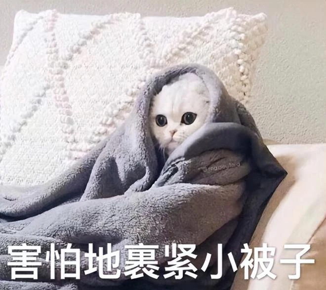 《暗黑破壞神4》測試褒貶不一 暗黑變成大型多人MMORPG