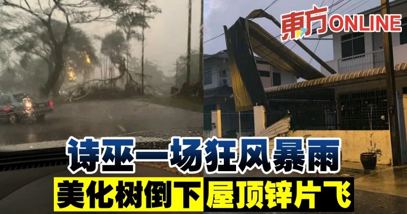詩巫一場狂風暴雨　美化樹倒下 屋頂鋅片飛