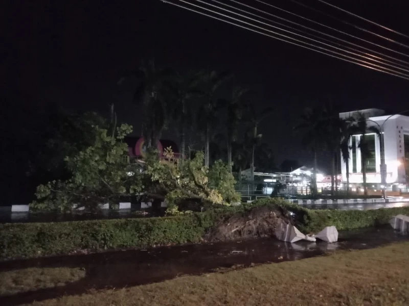 詩巫一場狂風暴雨　美化樹倒下 屋頂鋅片飛