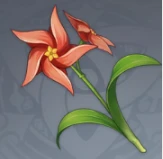 《原神》小燈草採集位置分享2023