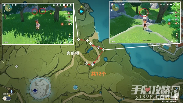 《原神》小燈草採集位置分享2023