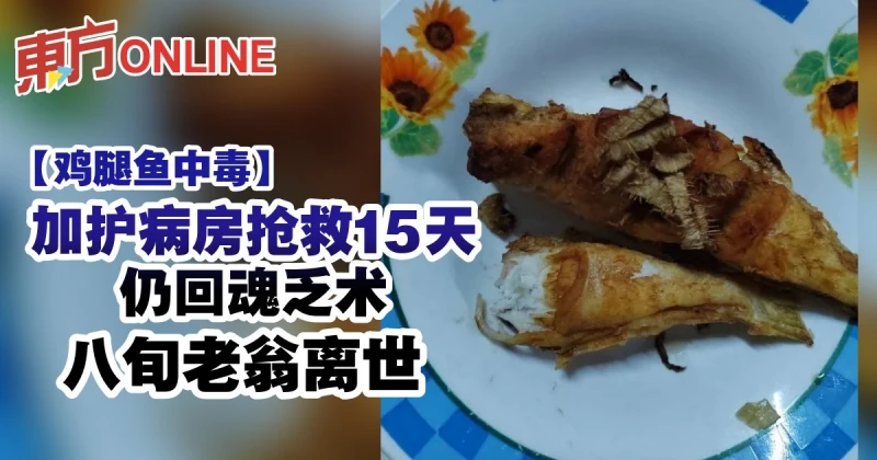 【雞腿魚中毒】加護病房搶救15天仍回魂乏術　八旬老翁離世