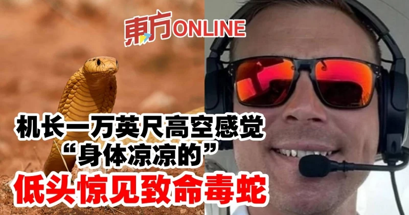 機長一萬英尺高空感覺「身體涼涼的」 　低頭驚見致命毒蛇