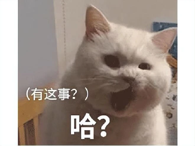 回憶錄：網癮少年因通宵遊戲，意外救了女學生，但卻不敢公開承認