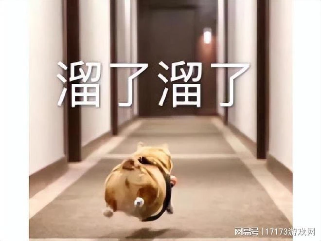 回憶錄:騰訊曾擺爛運營的遊戲,硬核PK如格鬥,通宵一晚人都暈