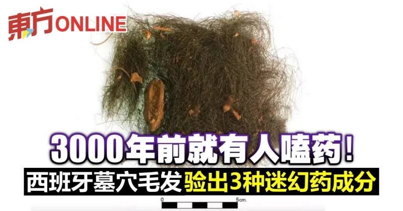 3000年前就有人嗑藥！西班牙墓穴毛髮驗出3種迷幻藥成分