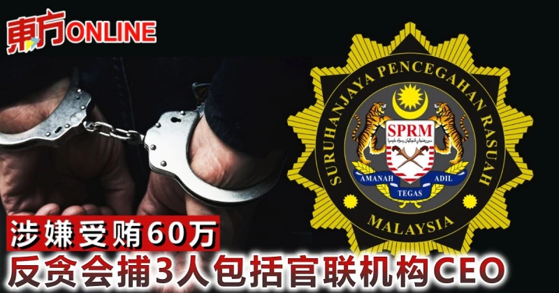 涉嫌受賄60萬　反貪會捕3人包括官聯機構CEO