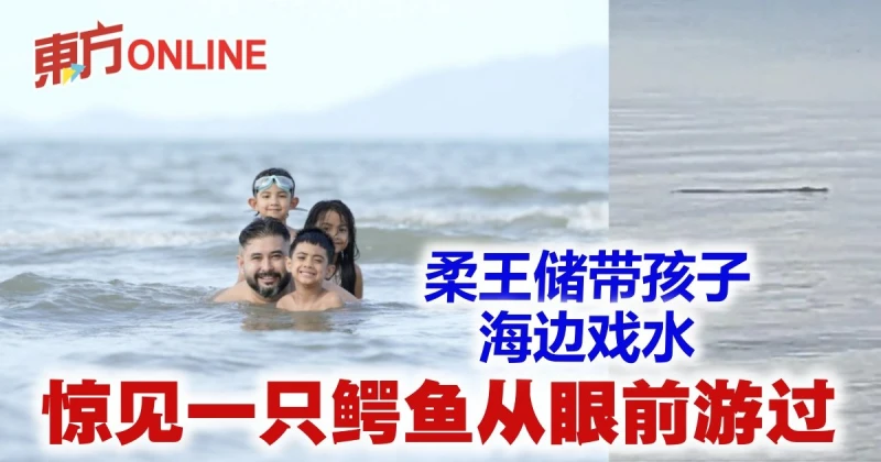 柔王儲帶孩子海邊戲水　驚見一隻鱷魚從眼前游過