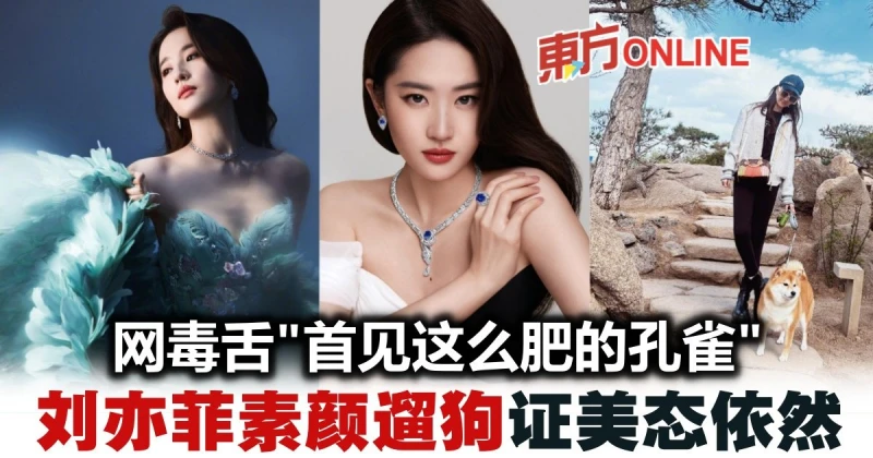 被戲謔「肥孔雀」無損好心情　劉亦菲素顏遛狗仙氣不減