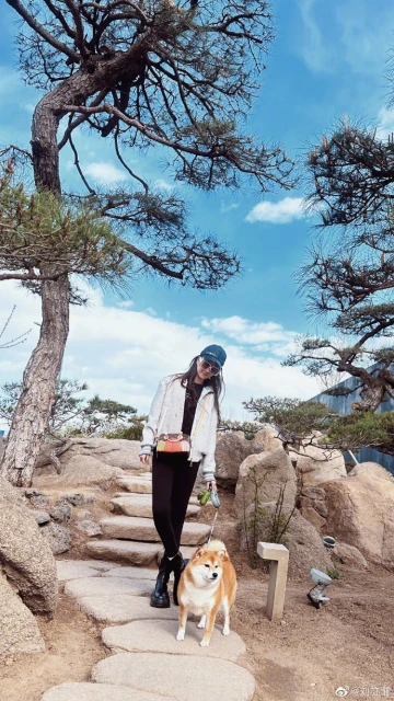 被戲謔「肥孔雀」無損好心情　劉亦菲素顏遛狗仙氣不減