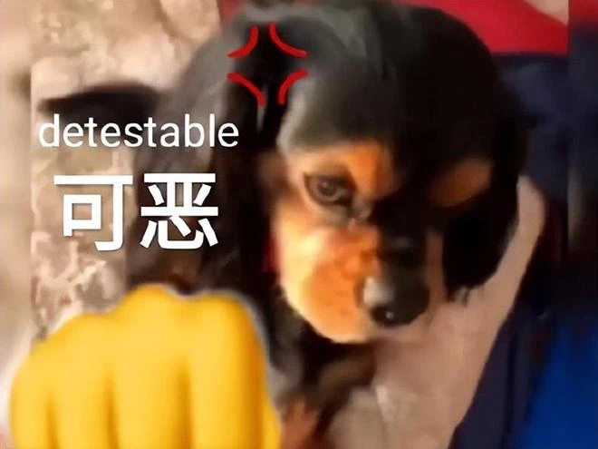 68塊25分鐘通關？多人肉鴿遊戲《鴉衛奇旅》被噴，把玩家當花唄？