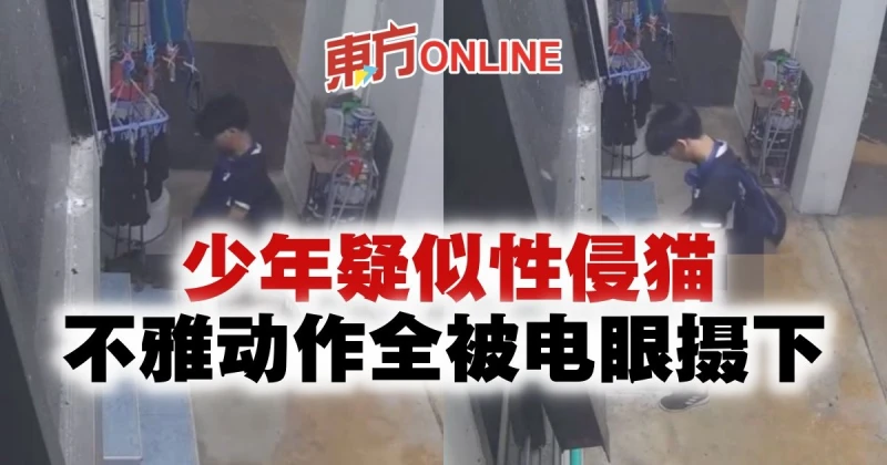 少年疑似性侵貓　不雅動作全被電眼攝下