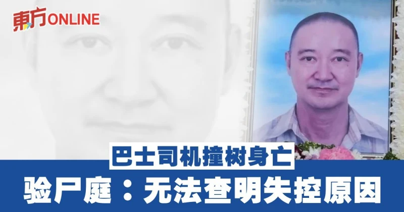 巴士司機撞樹身亡　驗屍庭：無法查明失控原因