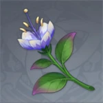 《原神》3.6帕蒂沙蘭採集位置大全