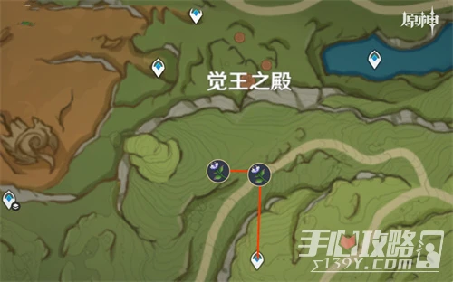 《原神》3.6帕蒂沙蘭採集位置大全