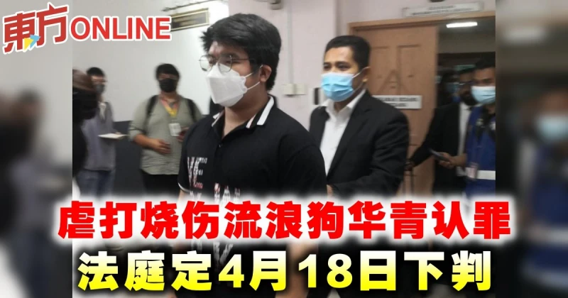虐打燒傷流浪狗華青認罪　法庭定4月18日下判