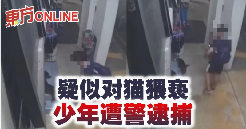 疑似對貓猥褻　少年遭警逮捕