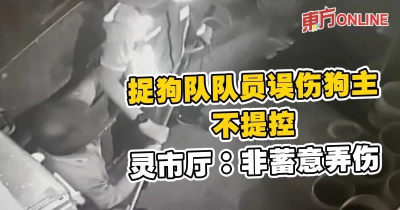 捉狗隊隊員誤傷狗主不提控　靈市廳：非蓄意弄傷