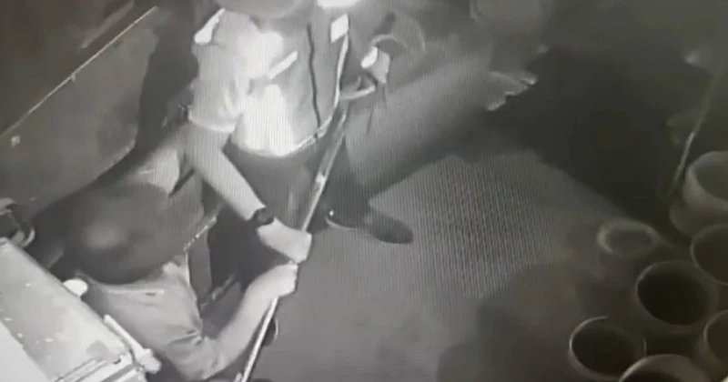 捉狗隊隊員誤傷狗主不提控　靈市廳：非蓄意弄傷