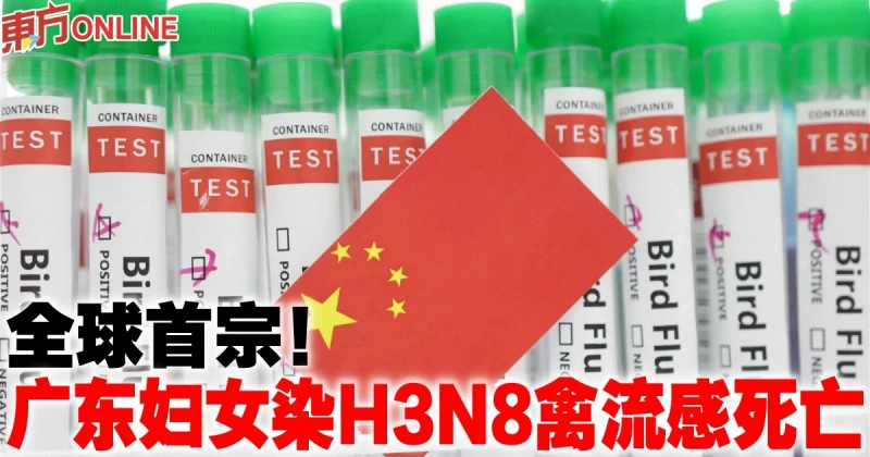 全球首宗！　廣東婦女染H3N8禽流感死亡