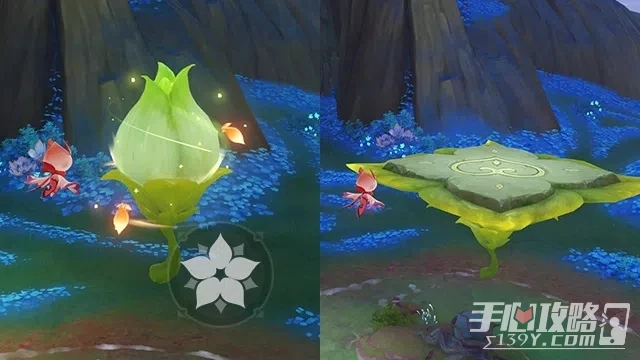 《原神》明芸花位置一覽