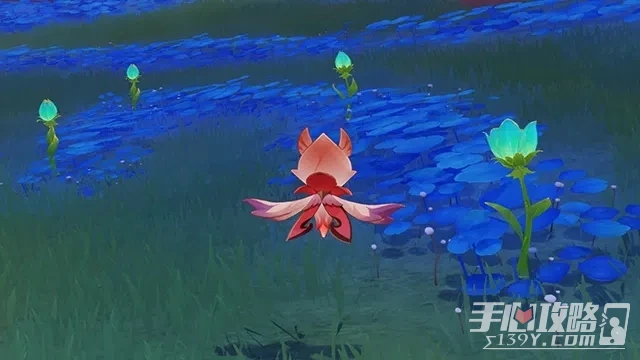 《原神》凈覺花開花方法