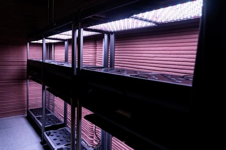 NASA模擬火星實驗棲地供受試者住一年　3D列印打造還有立體農場