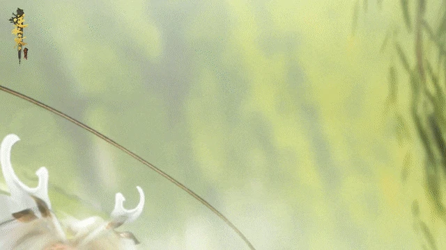 早報：《逆水寒》今年首個資料片上線 暴雪《奧德賽》曝出猛料