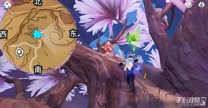 《原神》跋松頂草神瞳位置一覽