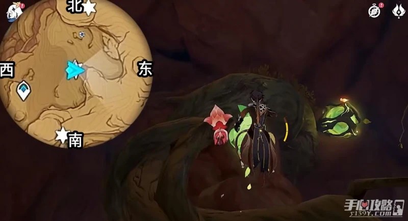 《原神》聚香海岸草神瞳位置一覽