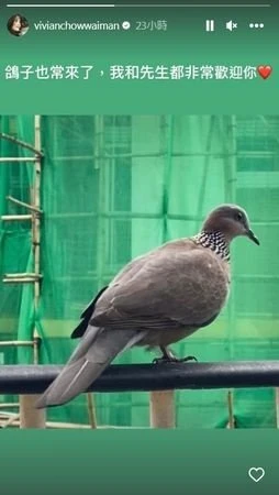 被爆離婚倪震　周慧敏曬照揭婚姻現況