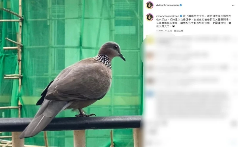 被爆離婚倪震　周慧敏曬照揭婚姻現況