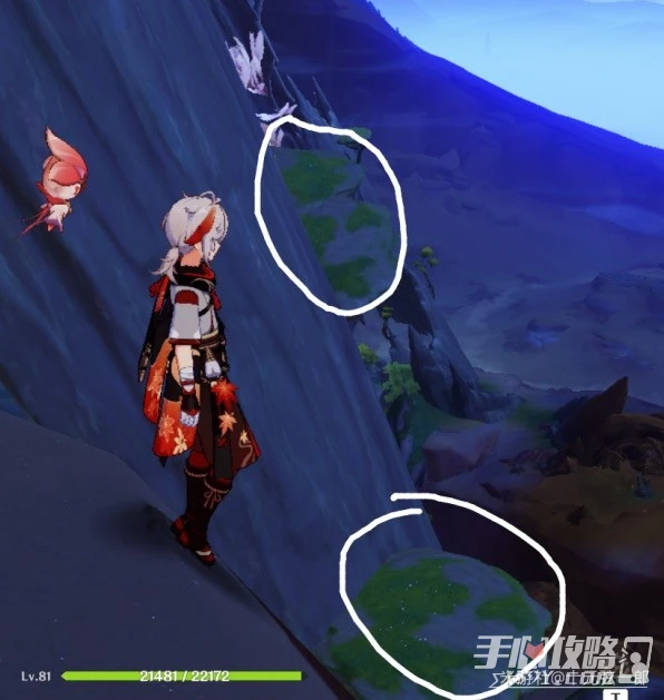 《原神》3.6版本碑銘的研究任務攻略