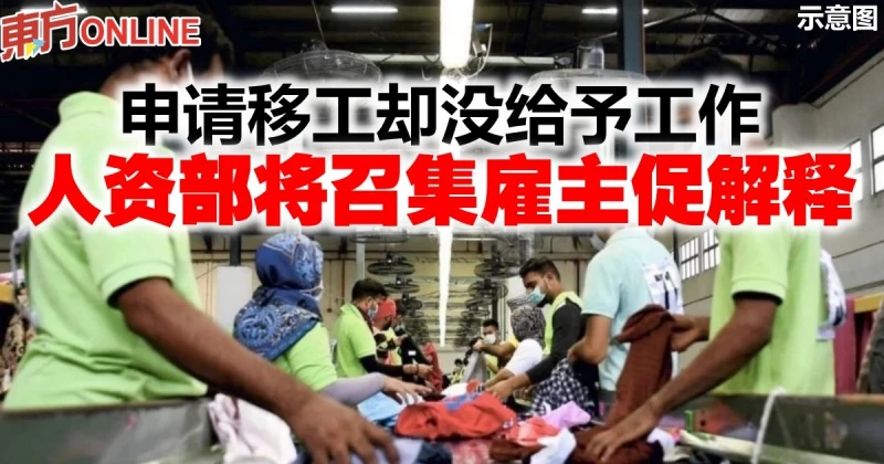 申請移工卻沒給予工作　人資部將召集僱主促解釋