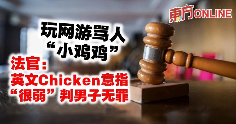 玩網遊罵人「小雞雞」　法官：英文Chicken意指「很弱」判無罪