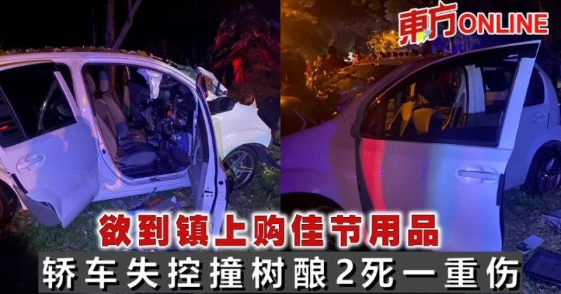 欲到鎮上購佳節用品　轎車失控撞樹釀2死一重傷