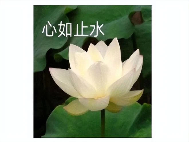 騰訊又搞砸一個百億人氣IP?月流水低至百萬,熬了3年宣布停運