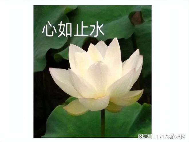 騰訊又躺槍？《命運方舟》開測，網友：玩了4年國服還在搶激活碼