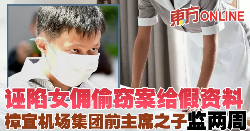 誣陷女傭偷竊案給假資料　樟宜機場集團前主席之子判監兩周