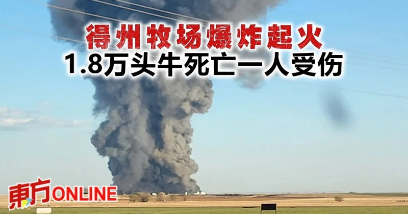 得州牧場爆炸起火　1.8萬頭牛死亡一人受傷