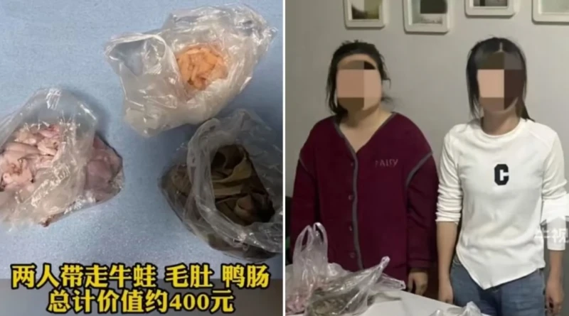 吃自助餐感覺沒吃夠本　2女「進貨」式打包遭行拘