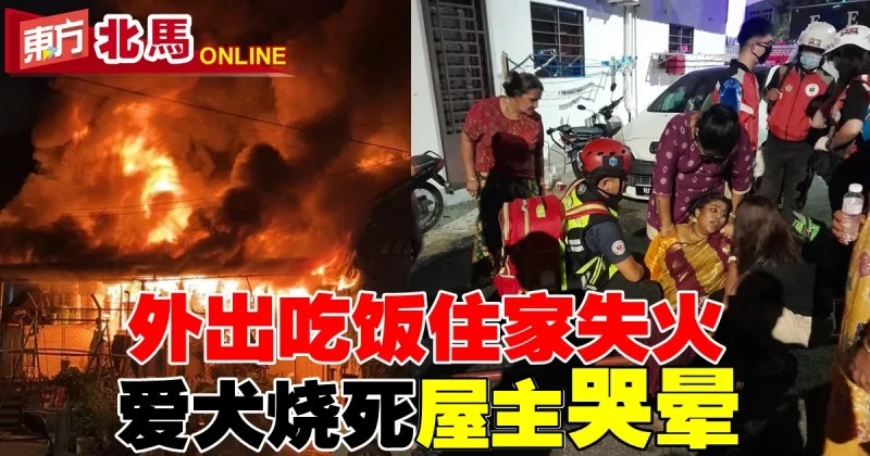 外出吃飯住家失火　愛犬燒死屋主哭暈