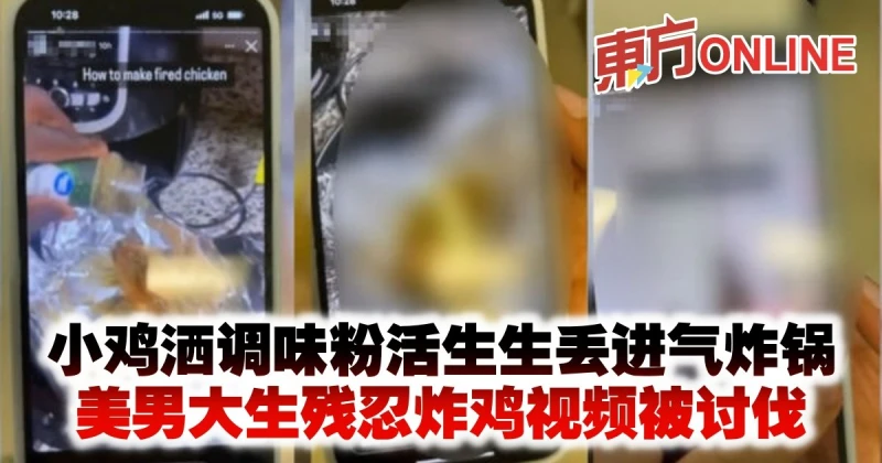 小雞灑調味粉活生生丟進氣炸鍋　美男大生殘忍炸雞視頻被討伐