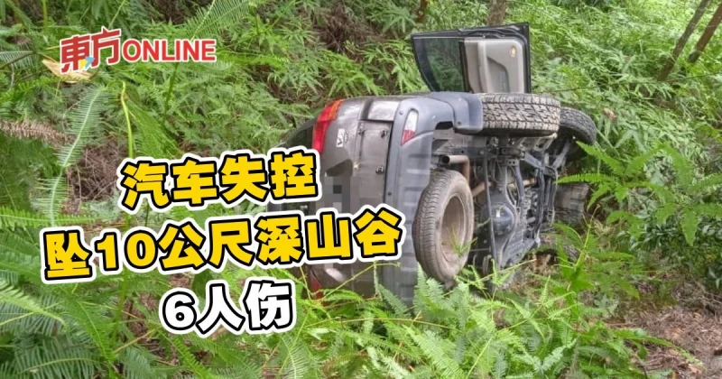 汽車失控墜10公尺深山谷6人傷