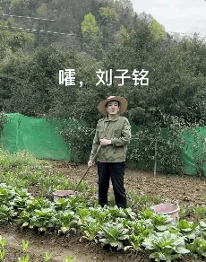 種田博主的一勺大糞,破了無數玩家的防