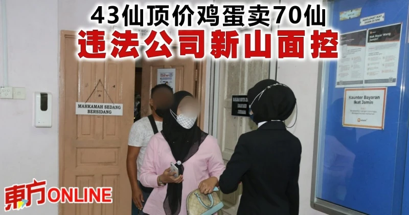 43仙頂價雞蛋賣70仙　違法公司新山面控